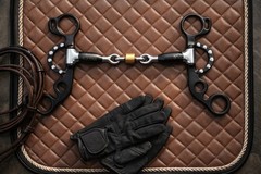 Short Shank Sweet Iron Dog Bone Snaffle w/ Copper Roller Horse Bit 35656C