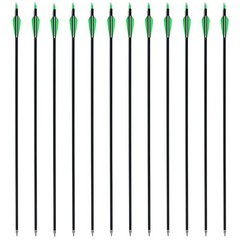 12 Pack 30 inch Carbon Arrows SP500 Archery Hunting For Compound & Recurve Bow