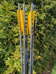 Gold Tip Warrior Carbon Arrows. 700, 600, 500, 400, 340, or 340. 6 Pack.