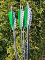 Gold Tip Warrior Carbon Arrows. 700, 600, 500, 400, 340, or 340. 6 Pack.