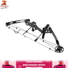 Compound Bow Kit with 12 Arrows Right Hand Archery Hunting Set Black 30-55lbs