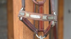 Vintage MacPherson Los Angeles Sterling Silver Show Halter & Matching Lead Shank