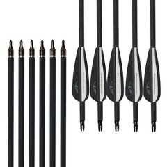 Adjustable 30-70lbs Compound Bow 12xArrows Set for Adult Target Hunting Shooting