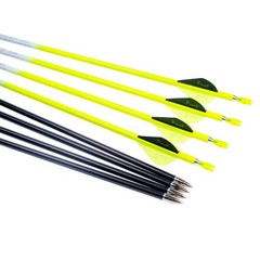 Archery Carbon Arrow 28 29 30 inch 300 340 350 400 Spine Practice Hunting Arr…