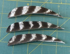 4″ Right Wing Parabolic Natural Barred Feather Fletching, 25Pk Archery 🇺🇸￼