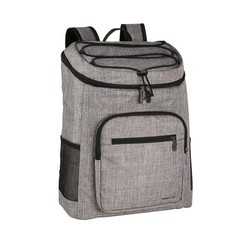 Amazon Basics Insulated Cooler Backpack, 30 Can, Leak-Proof, Gray