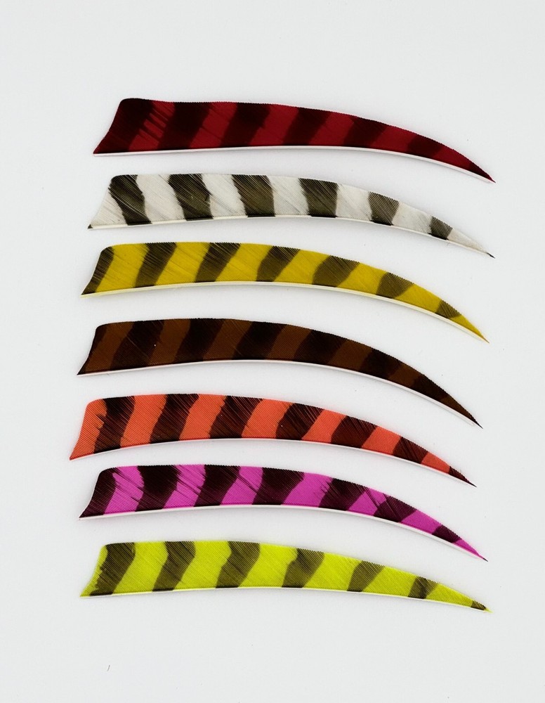 Trueflight Shield Cut Feathers – Left/Right Wing – 5 Inch – Barred Colors