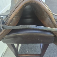 Avante All Purpose English Schooling Saddle 19″