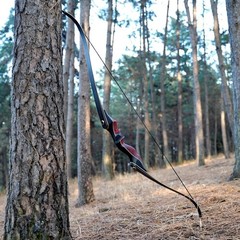PMZ Recurve Bow and Arrow Set, Newset Professional 35 lbs, Coral Snake