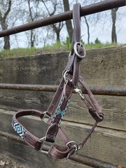 Leather Halter – Navajo Beaded Cheeks and Noseband – Turquoise – Rust Beads