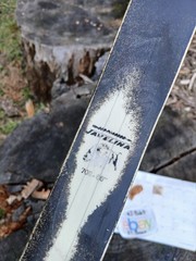 Vintage Ben Pearson Archery Javelina recurve 38#
