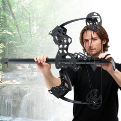 Mini Compound Bow 45lb Shoot Rapid Bow Shooter Steel Ball Launcher Hunt Archery