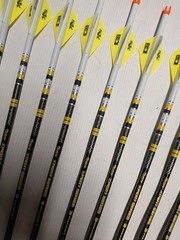 @NEW@ 12- Victory Archery RIP TKO Elite 350 Dipped/Crested Carbon Arrows