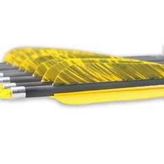 30inch Hunting Carbon Archery Arrows with 5″ Turkey Feathers Spine 300/400/50…