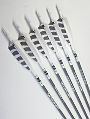 Goldtip warriors arrows for Traditional archery