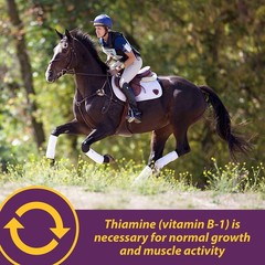 Farnam Horse Health Vita B-1 Crumbles Supplement for Horses, 3 pounds
