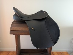 Wintec 250 Dressage Saddle 16.5 in Black Easy-Change Gullet System