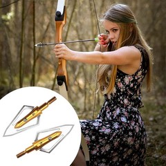 6/12pcs Archery 100 Grain Hunting Broadheads Arrowhead Point Bow Shooting Target