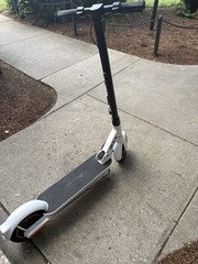 MAXTRA MAX Kick Electric Scooter 350W White for Adults. (CHECK DESCRIPTION)