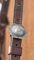 Vintage MacPherson Los Angeles Sterling Silver Show Halter & Matching Lead Shank