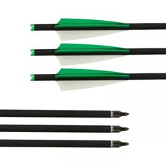 20» Hunting Crossbow Bolts Carbon Arrows 12PCS 4″ Vanes Archery Crossbow Arrows