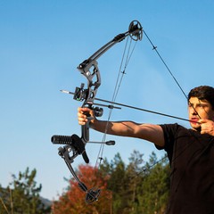 Black Compound Bow Kit with 12 Arrows Right Hand Archery Hunting Set 30-55lbs US