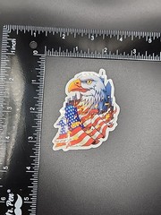 America American Flag USA Bald Eagle Flames City Patriotic Sticker