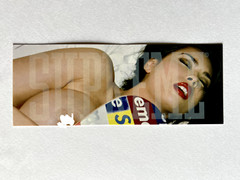 Supreme Tera Patrick Sticker 100% Authentic FW24 Season