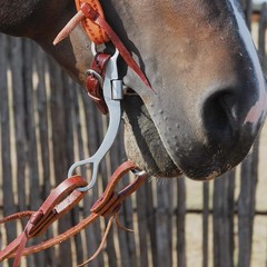 Classic Equine Floating Spade Long Shank Bit