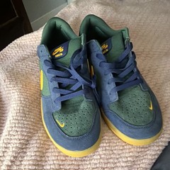 Nike SB Force 58 Skateboarding Shoes Blue Green Yellow US 12 Medium (D)