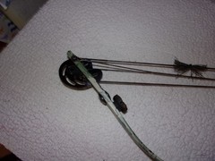 Proline Riptide Compound Bow