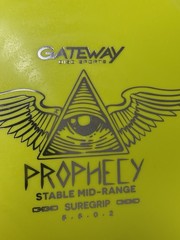 Gateway Prophecy – Sure Grip Plastic – 179g – New