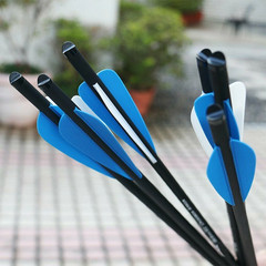 20Inch Crossbow Arrows Carbon Bolts &/OR Hunting Broadheads &/OR Lighted Nocks
