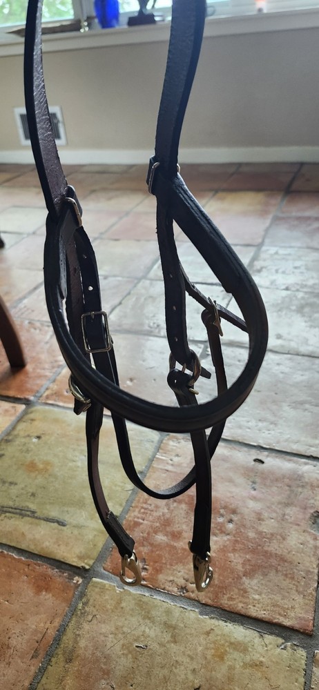 Tory Brow Band Training Headstall 5/8in