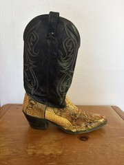 Vintage Dan Post Men’s Cowboy Boots Python Snakeskin and Leather Black Size 12