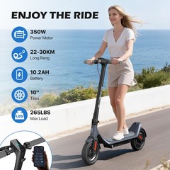 LEQISMART 10Inch A6L ECO 350W Motor 10 Inch Tires 19 Miles Range Commuter