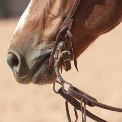 Classic Equine 7.5” Cheek Snaffle Bit – Smooth Control & Quick Response