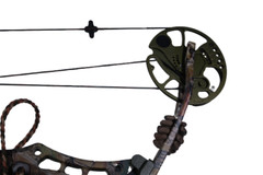 Bear Archery Charge Compound Bow, Right Hand