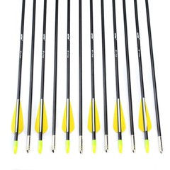 12Pcs 28″ Fiberglass Archery Arrows Spine 700 OD 7mm For Recurve & Compound Bows