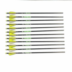 Greenacres 1 dozen Premium Spine Aligned Carbon Arrows by Victory w/ 4»Feathers