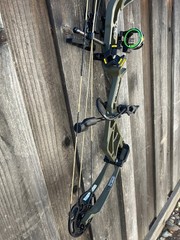 Bear Archery Whitetail Legend compound bow