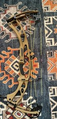 Hoyt Rx9 Ultra RH 40-50#