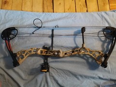 Bear Archery Vast