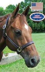Derby Originals American Elegance Triple Stitch Horse Halter USA Leather
