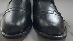 NEW In Box Dover Saddlery Black Lace-up Leather Like Paddock Boots Woman Sz 9.5