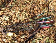 31″ Carbon Hunting Arrows with 5″ Turkey Feathers, Pack of 12 | Spine 500, Ar…