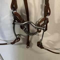 Beautiful Vintage Western Bridle With Silver