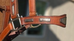 Vintage MacPherson Los Angeles Show Halter North & Judd Buckles Silver Overlay