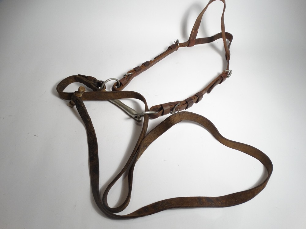 Vintage Leather Swiss Army Cavalry Horse Bridle w/Bit 1930s 1940s