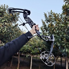 Compound Bow Arrow 40-75lbs CNC Archery 350FPS Shooting Hunting L/RH Pulley Bow